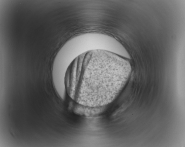 X0000088730751200706282123