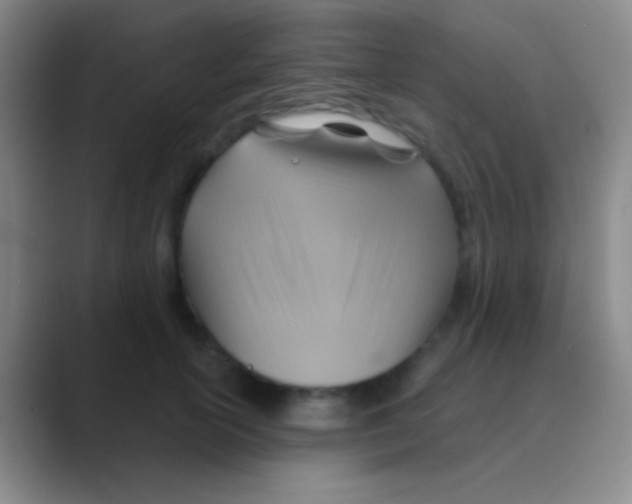 X0000088730754200706282124