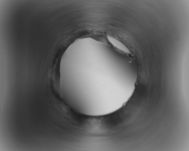 X0000088730756200706282124