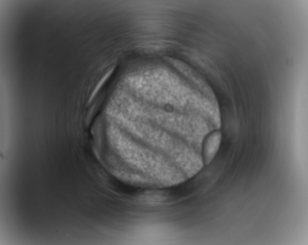 X0000088730758200706282124