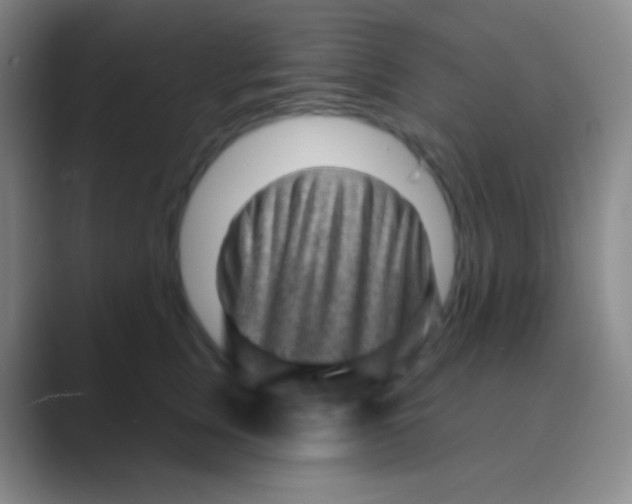 X0000088730759200706282124