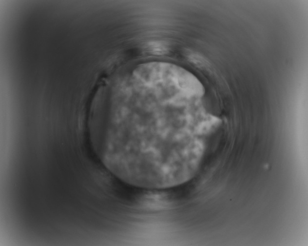 X0000088730760200706282124