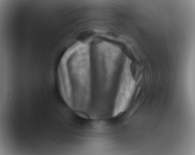 X0000088730762200706282124