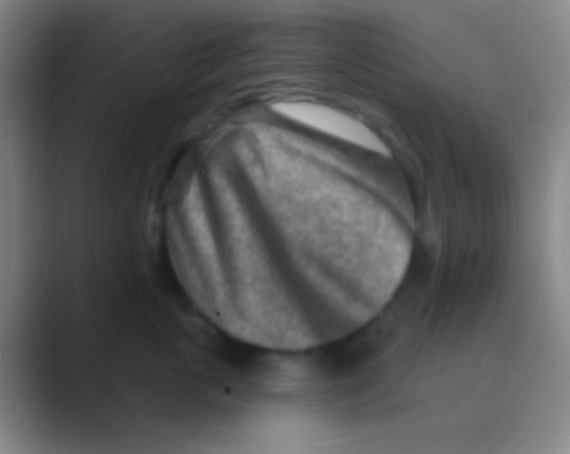 X0000088730763200706282124