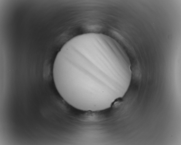 X0000088730764200706282124