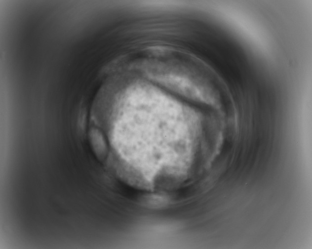 X0000088730765200706282124