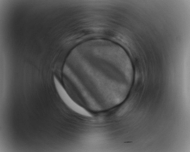 X0000088730766200706282124