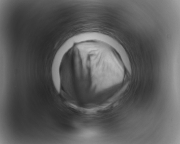 X0000088730767200706282124