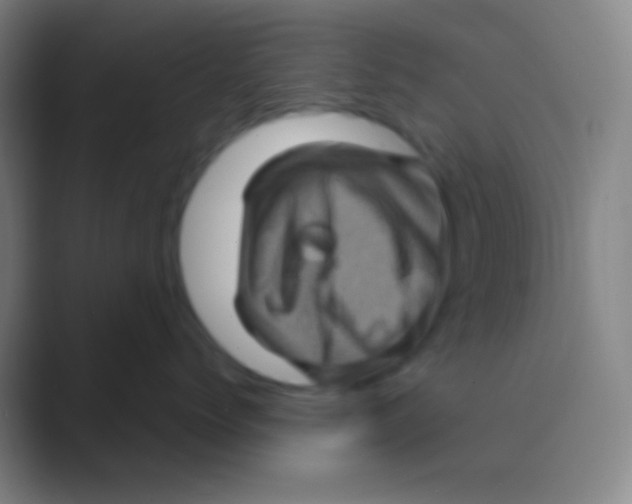 X0000088730768200706282124