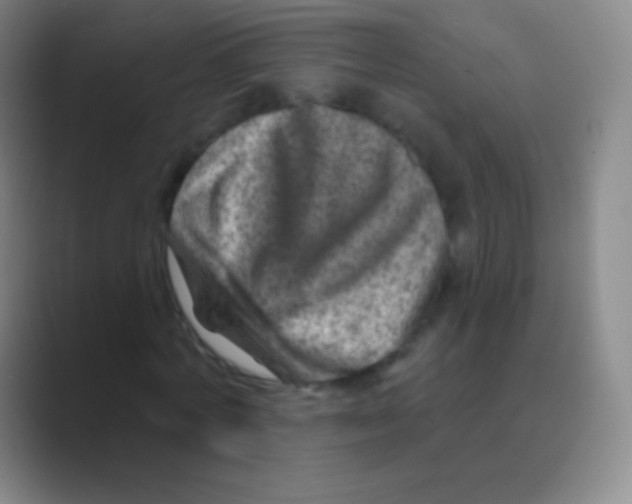 X0000088730772200706282123