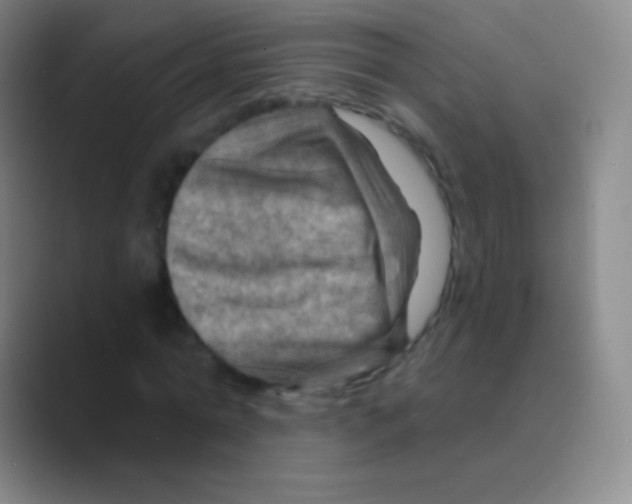 X0000088730774200706282123