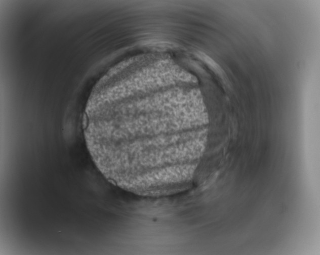 X0000088730775200706282123