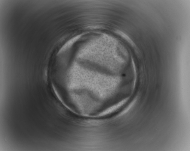 X0000088730777200706282123