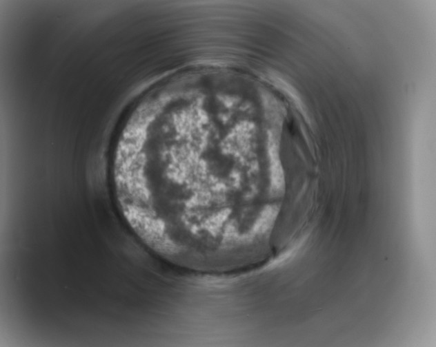 X0000088730779200706282123