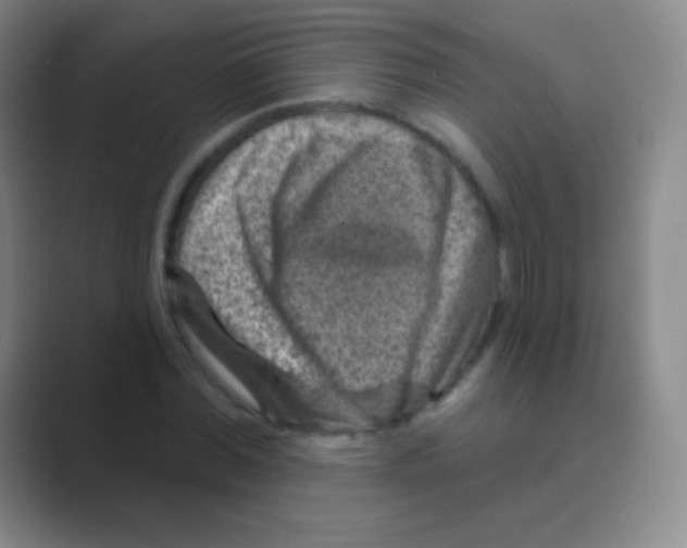 X0000088730780200706282123