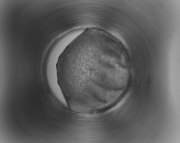 X0000088730781200706282123