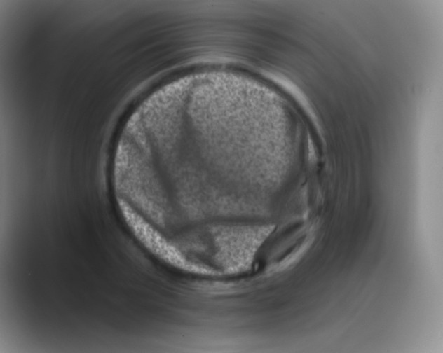 X0000088730783200706282123