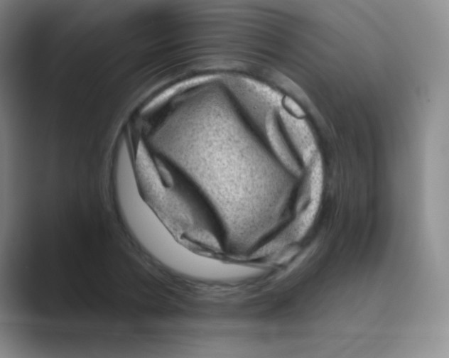 X0000088730786200706282123