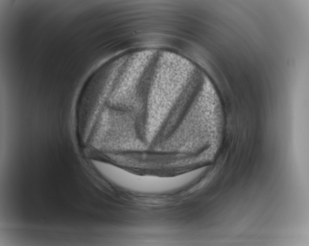 X0000088730787200706282123