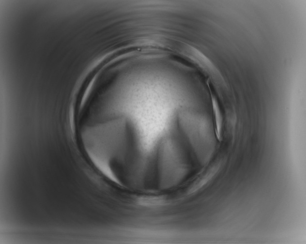 X0000088730788200706282123