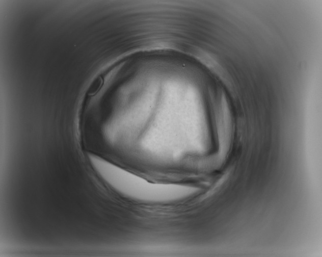 X0000088730789200706282123