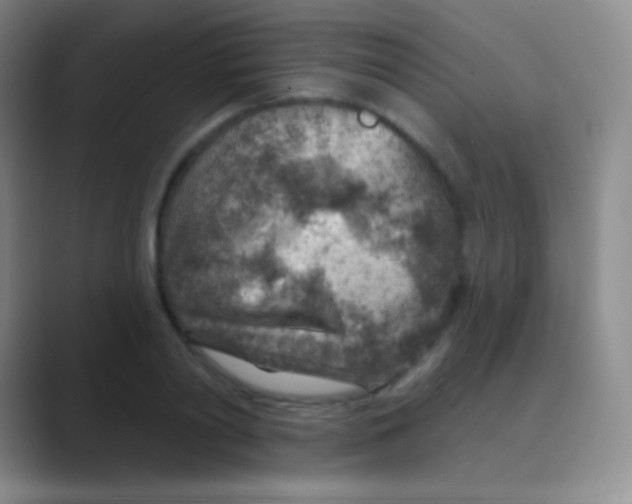 X0000088730790200706282123