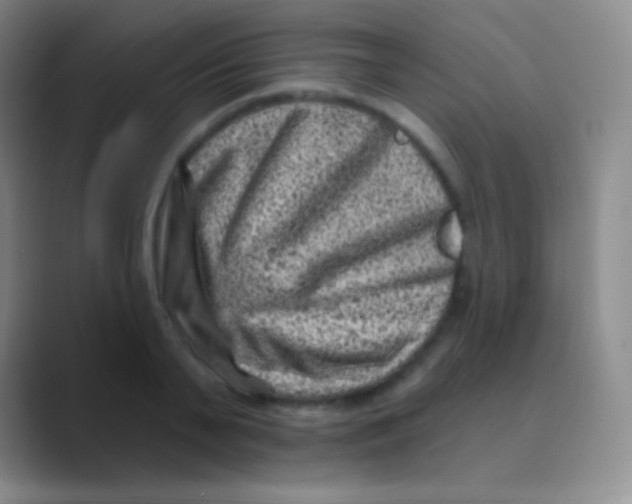 X0000088730791200706282123