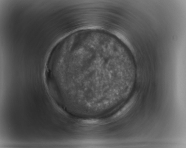 X0000088730797200706282123