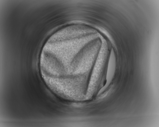 X0000088730799200706282123