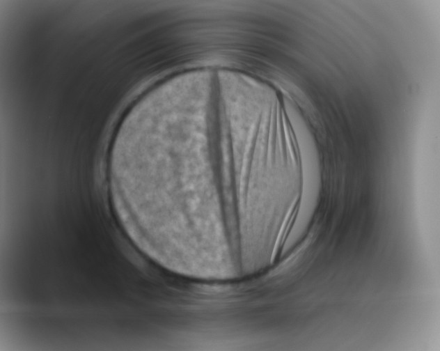 X0000088730800200706282123