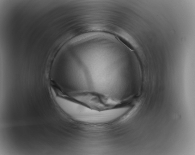 X0000088730801200706282123