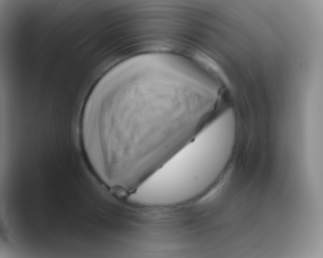 X0000088730802200706282123