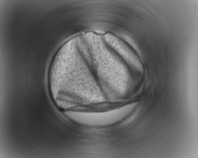 X0000088730803200706282123