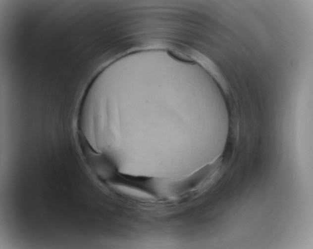 X0000088730805200706282123