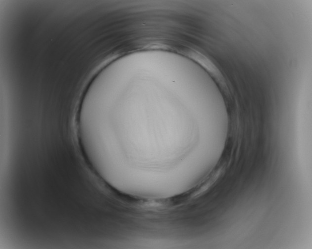 X0000088730806200706282123