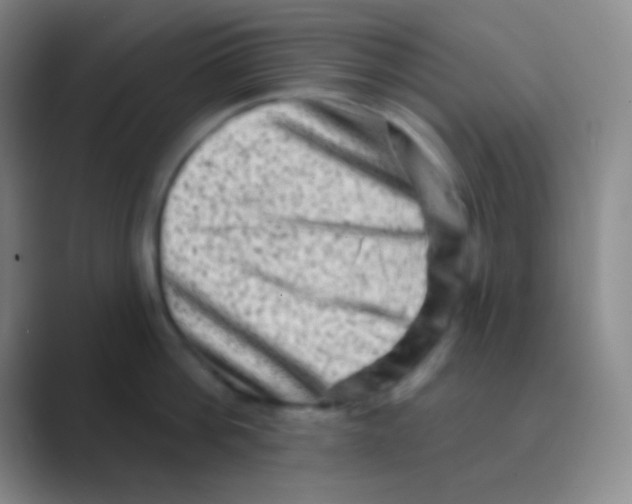 X0000088730812200706282123