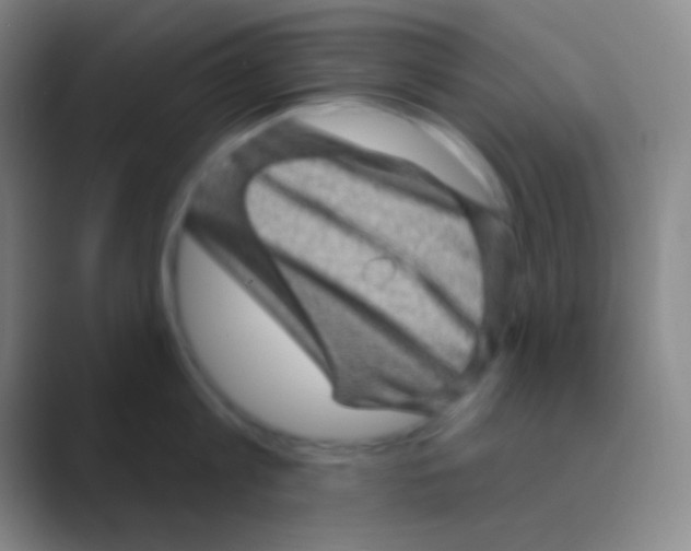 X0000088730813200706282123