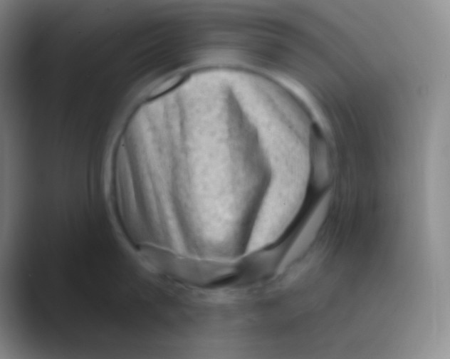 X0000088730815200706282122