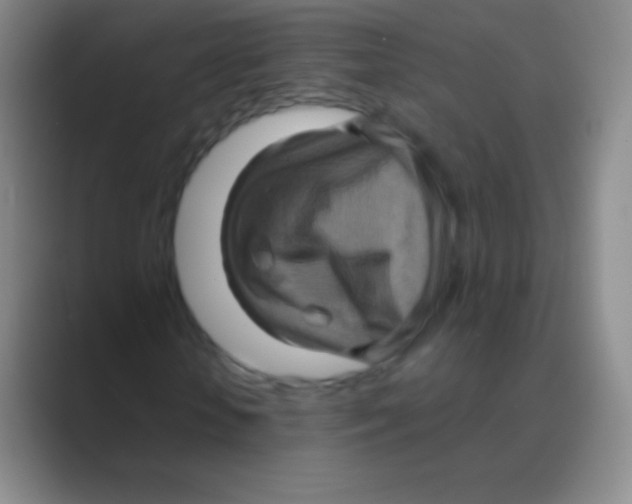 X0000088730818200706282122