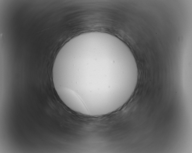 X0000088730820200706282122