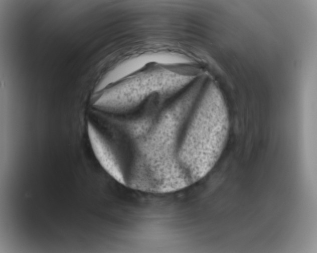 X0000088730821200706282122