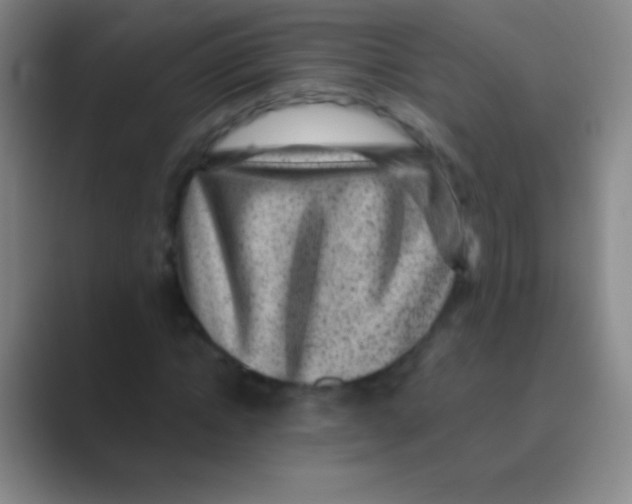 X0000088730822200706282122