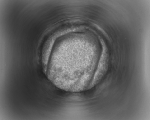 X0000088730823200706282122