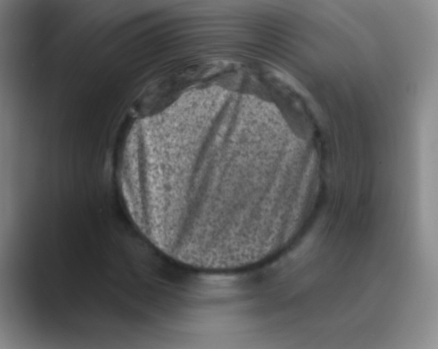 X0000088730825200706282122