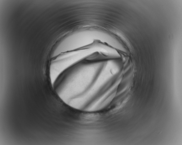 X0000088730826200706282122