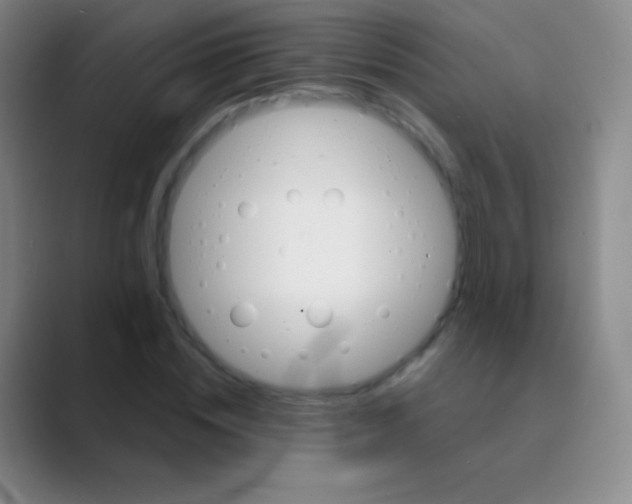 X0000088730828200706282122