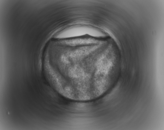 X0000088730829200706282122