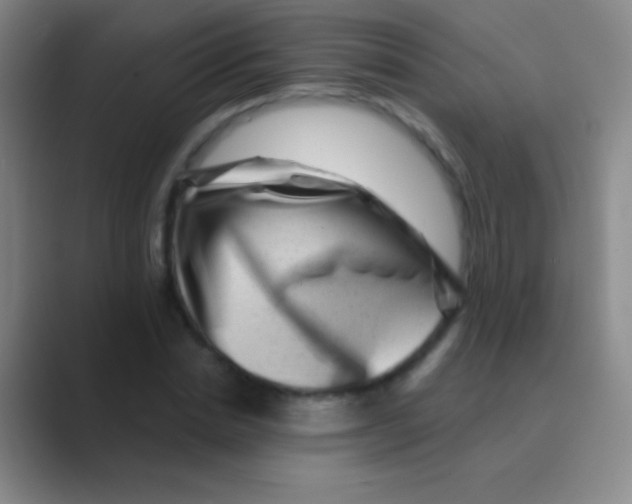 X0000088730830200706282122