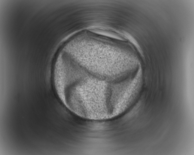 X0000088730831200706282122