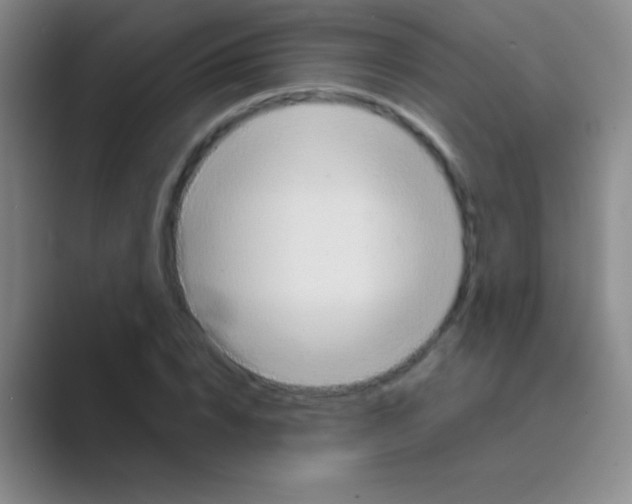 X0000088730832200706282122